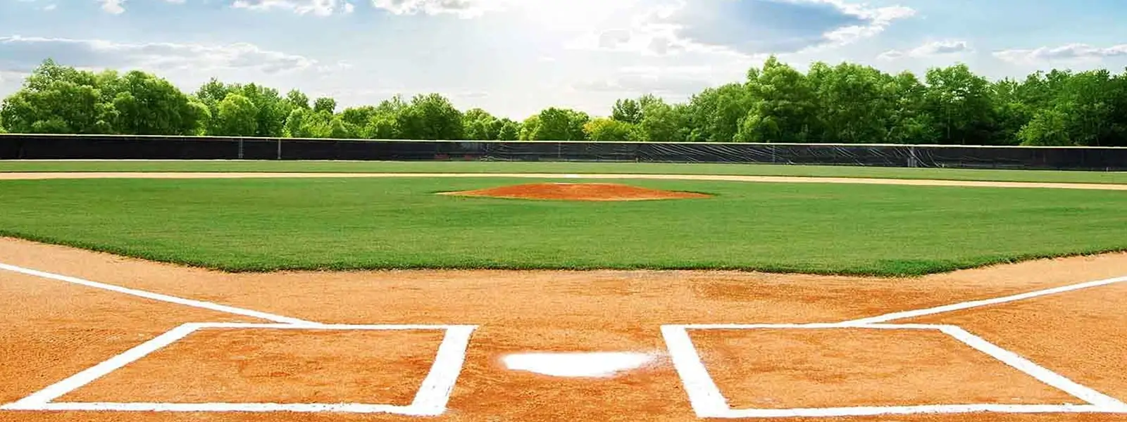 Guide to Understanding the Sport of Baseball